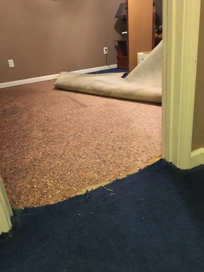 Carpet pad removal revealing water damage during Drying & Dehumidification in Pittsford
