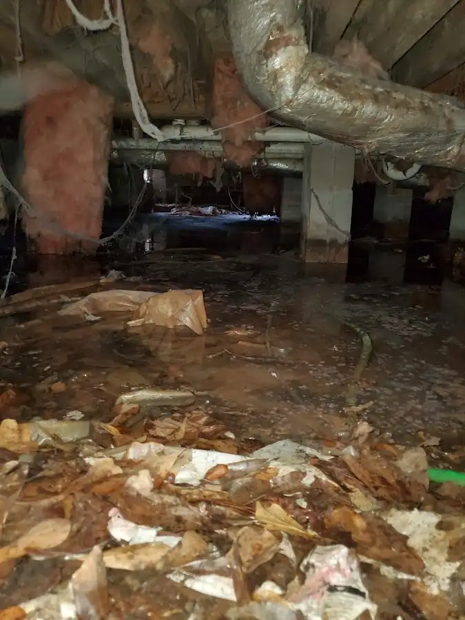 Crawl space flood assessment for Leak Detection & Repair in Pittsford