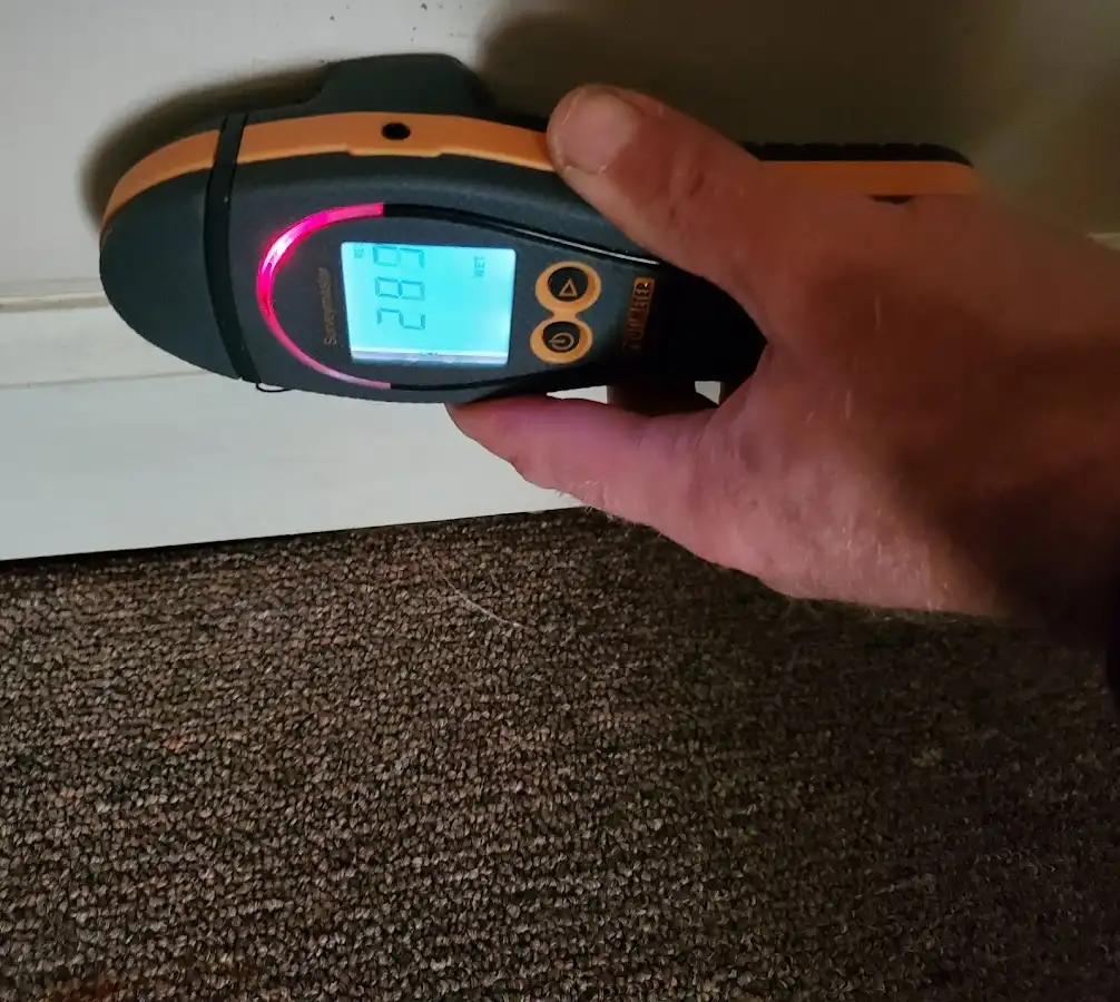 Moisture detection at baseboard during Mold Inspection & Testing in Pittsford
