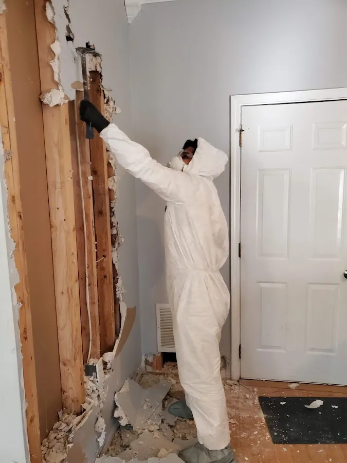 Odor Removal & Deodorization in Pittsford, NY